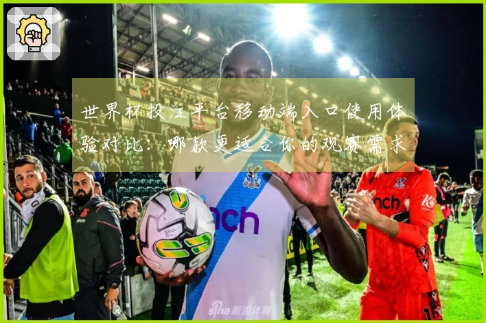 世界杯投注平台移动端入口使用体验对比：哪款更适合你的观赛需求？