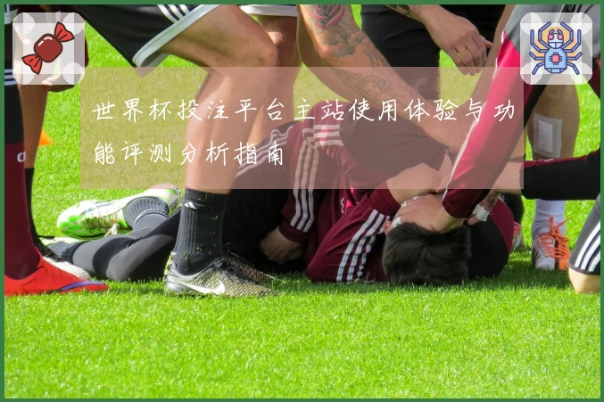 世界杯投注平台主站使用体验与功能评测分析指南